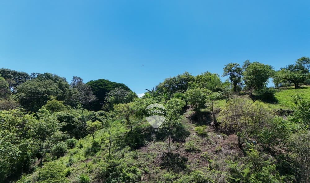 TERRENO EN VENTA EN CUSCATANCINGO, COL SAN CARLOS — foto 1