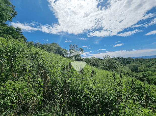 LOTE #5 EN VENTA - A MINUTOS DE EL TUNCO — foto 1