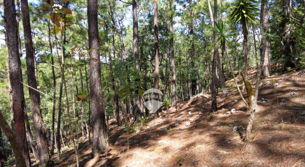 Terreno Recreativo con Clima de Montaña en Altos del Gramal, La Palma