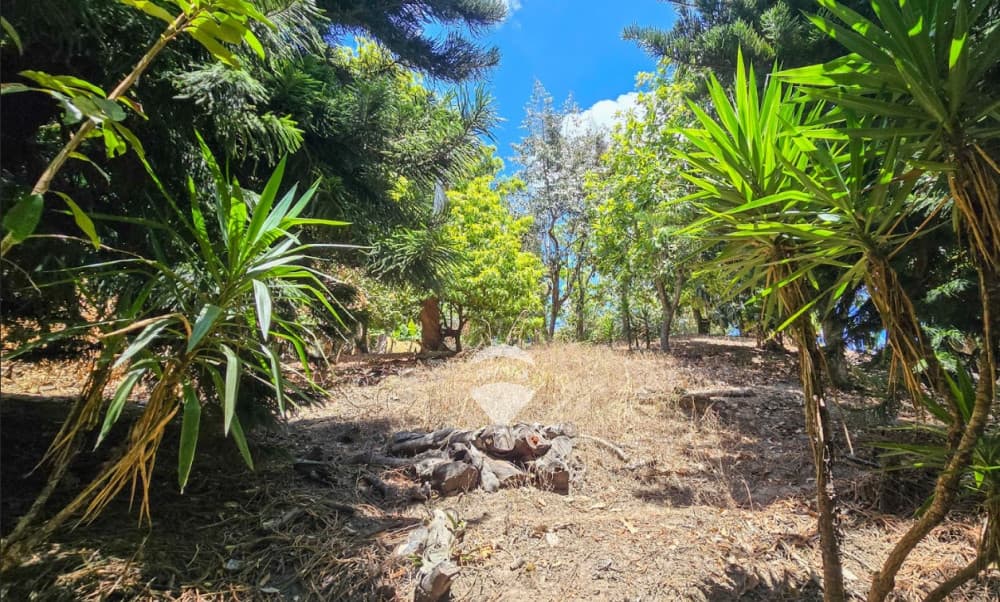 TERRENO EN VENTA EN CALLE AL VOLCAN DE SS CON VISTA