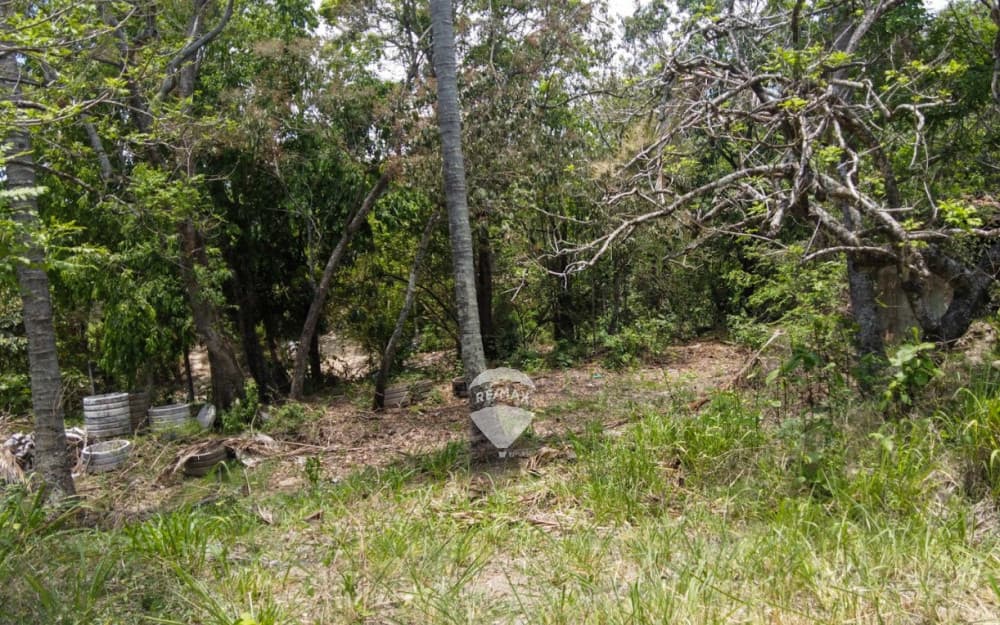 Terreno en Venta en Tonacatepeque — foto 1