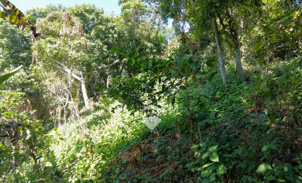 TERRENO EN SAN PEDRO NONUALCO EN VENTA