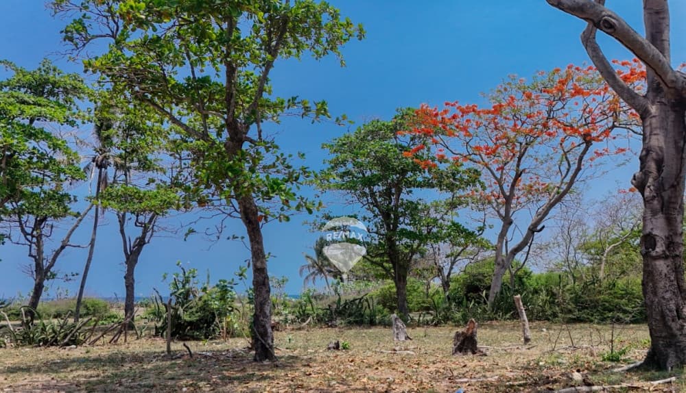 ESPECTACULAR TERRENO EN CANGREJERA EN VENTA