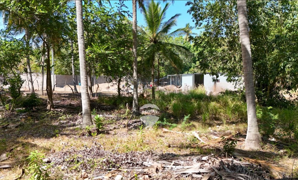 TERRENO EN VENTA  PLAYA BARRA DE SANTIAGO