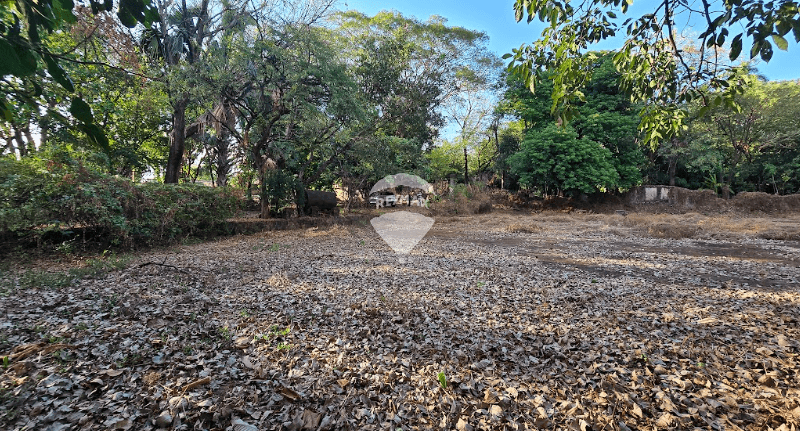 TERRENO EN EL CENTRO DE ZACATECOLUCA EN ALQUILER O VENTA SOBRE 14 C OTE Y 1A  AV NORTE — foto 1