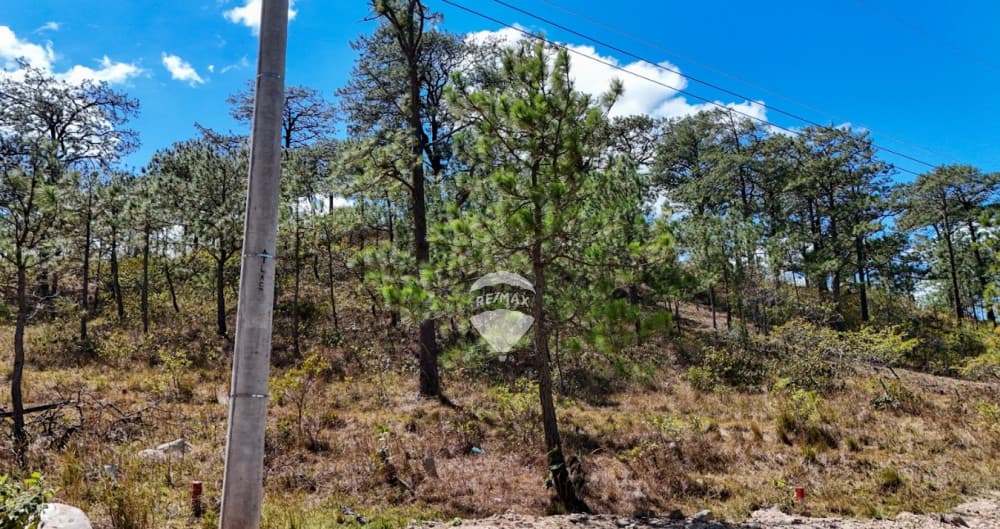 VENDO TERRENO EN PARCELACIÓN EL ESPINO III, LA PALMA, CHALATENANGO — foto 1