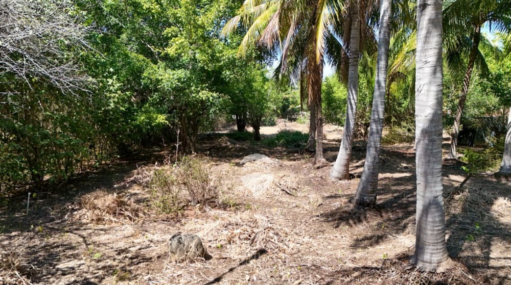 TERRENO DE 2862 V2 EN VENTA EN COMPLEJO PRIVADO LAS VERANERAS EN ACAJUTLA, SONSONATE. — foto 1
