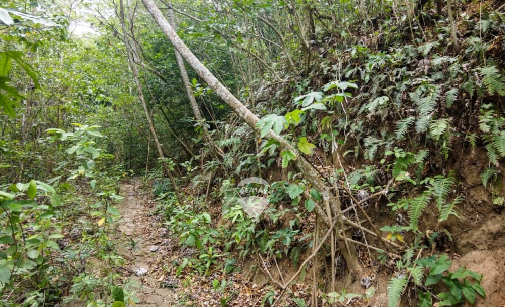 Finca en venta en Jujutla-Ahuachapán