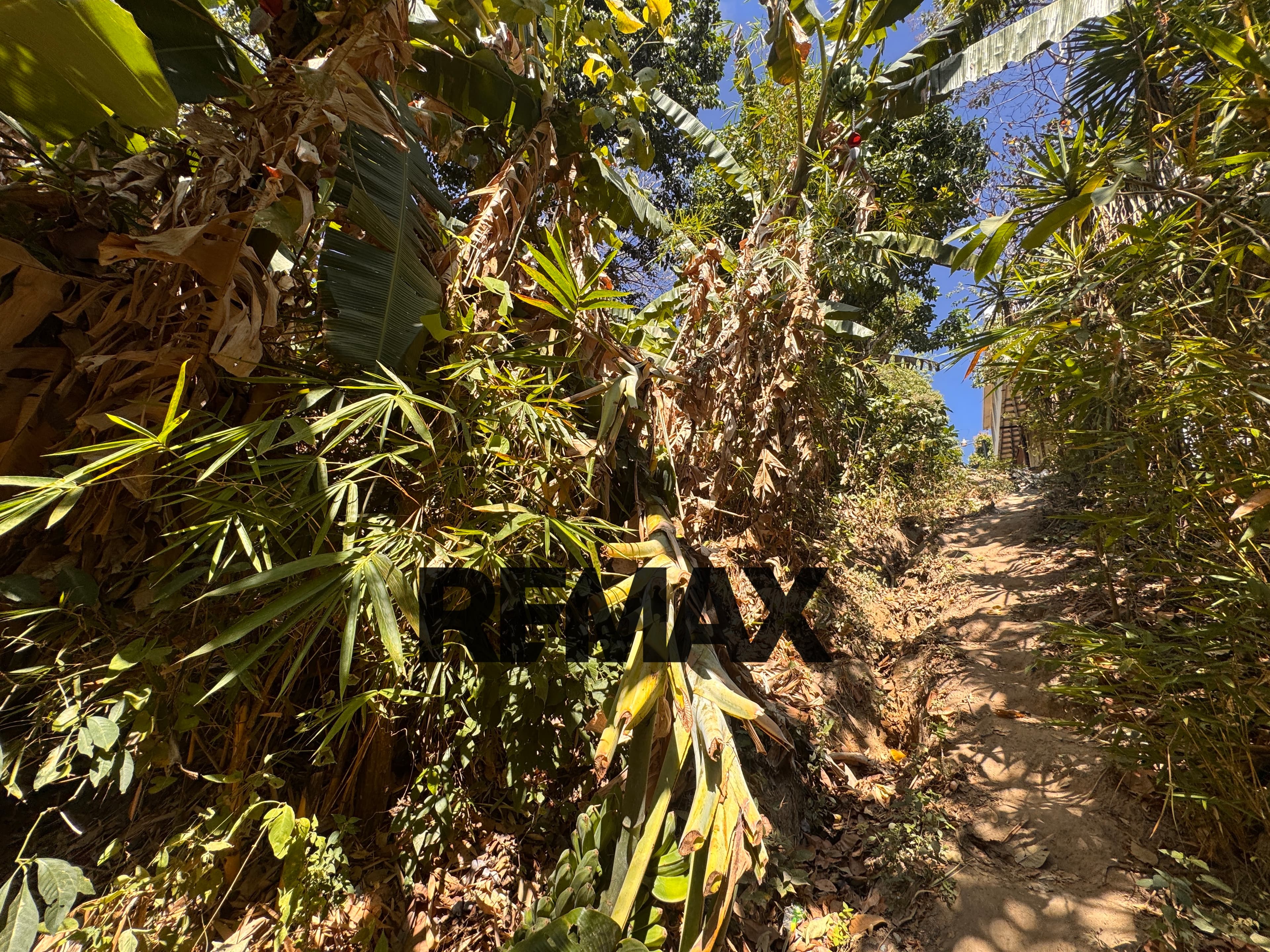 terreno en mejicanos — foto 1