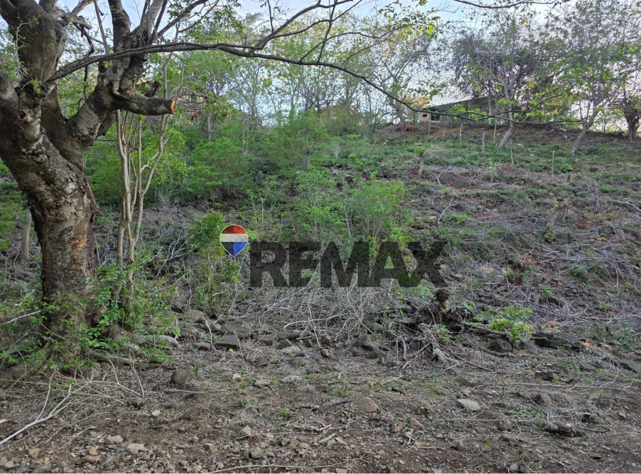 Terrenos en Venta – San Antonio Pajonal (Carretera a la Piedrona)