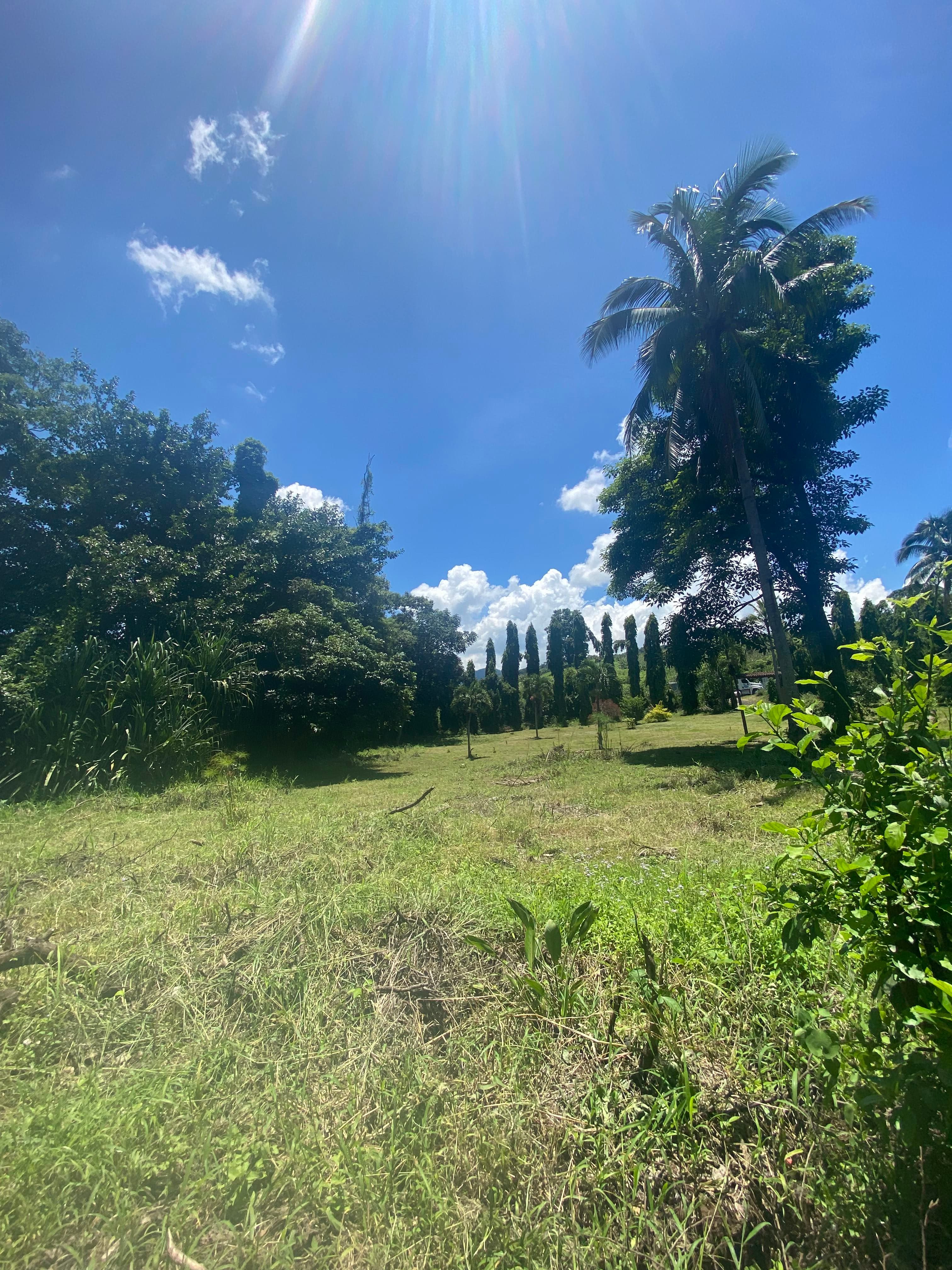 Terreno Comercial en Armenia Sonsonate — foto 1