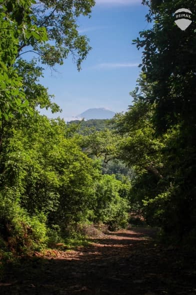 OPORTUNIDAD DE INVERSIÓN EN USULUTAN — foto 1