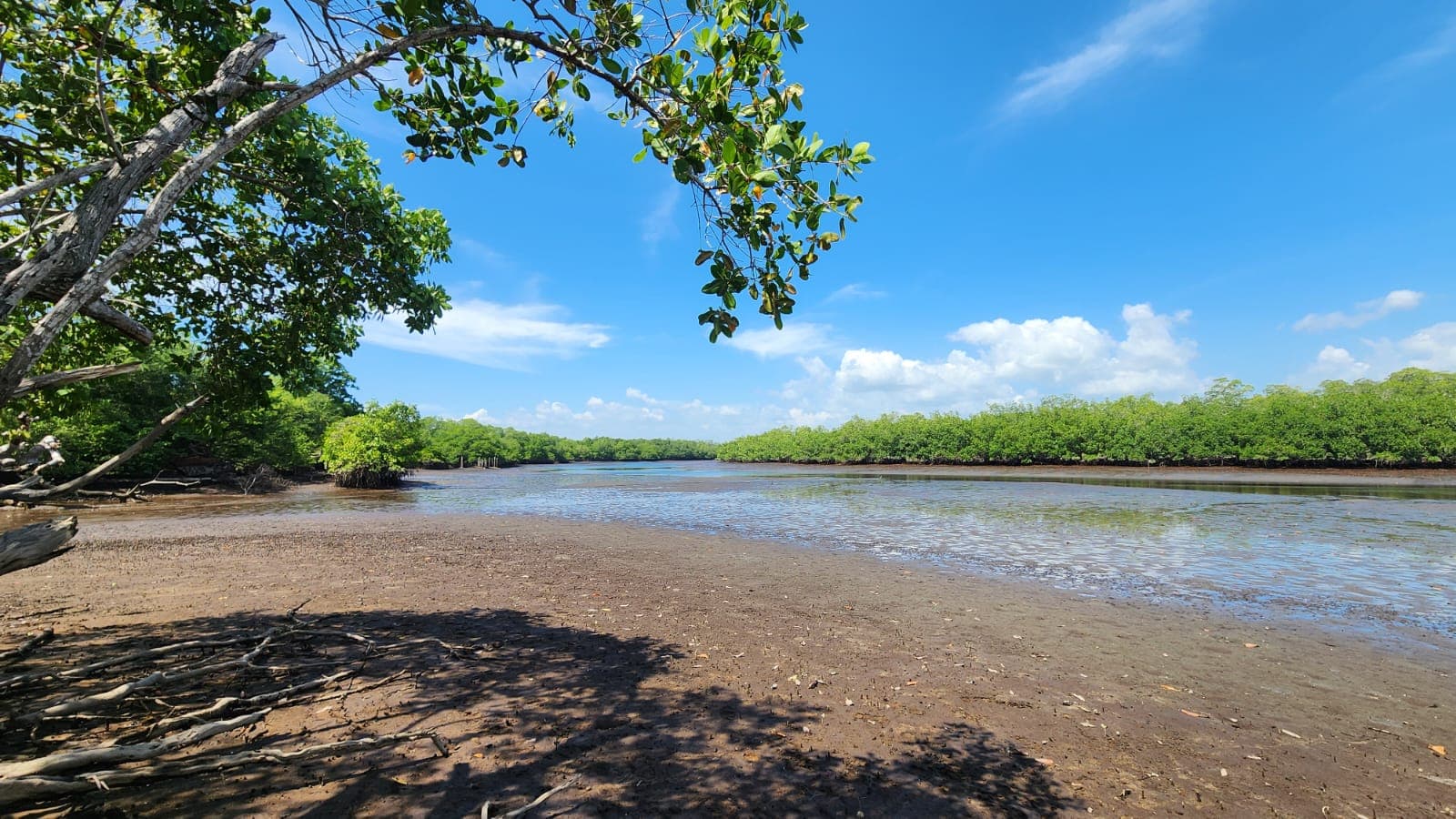 TERRENO EN VENTA CON ACCESO A BAHÍA DE JIQUILISCO — foto 1