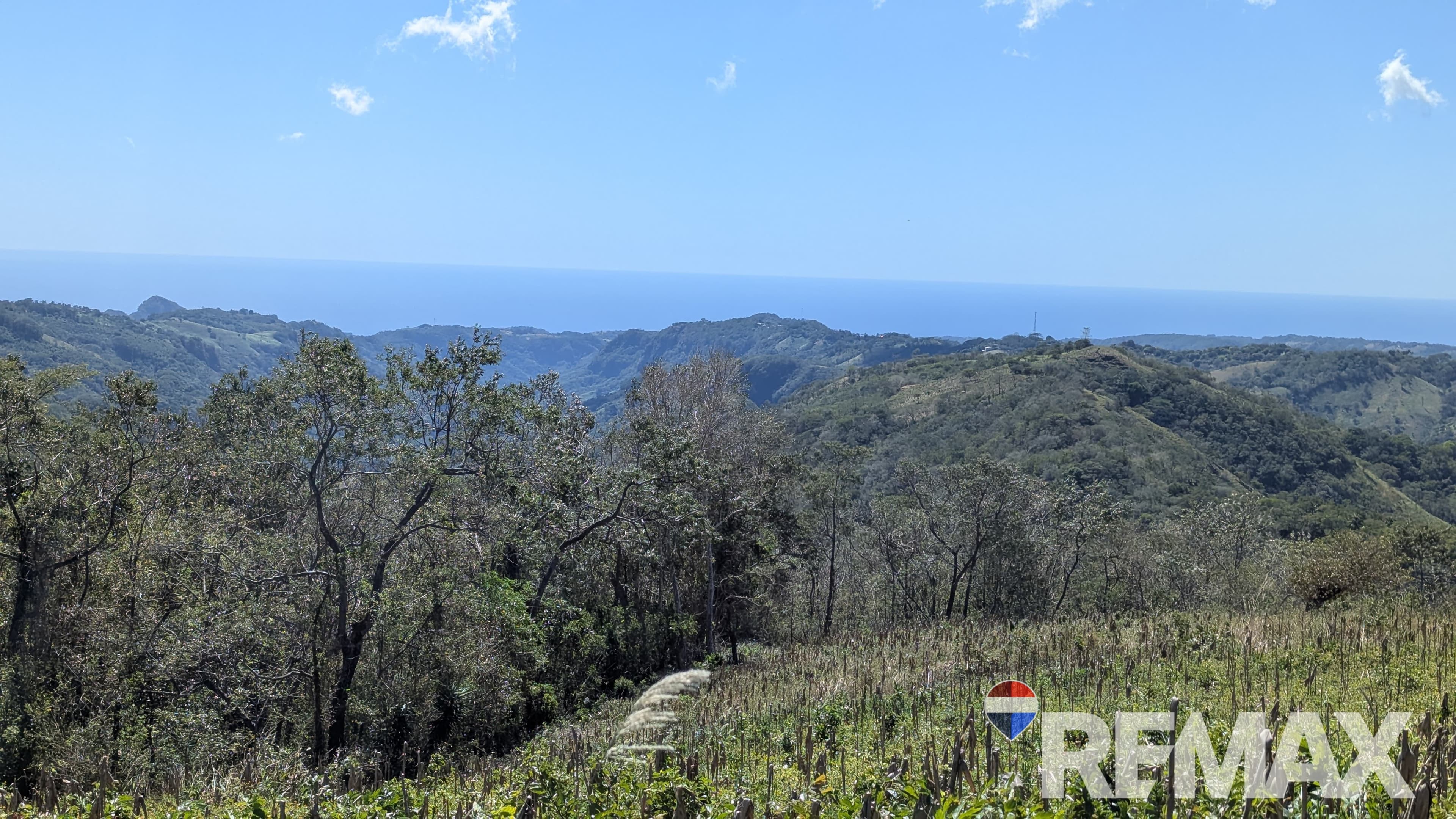 ¡Tu Finca Ideal Espera! 32 Manzanas de Tierra Fértil en Teotepeque, La Libertad
